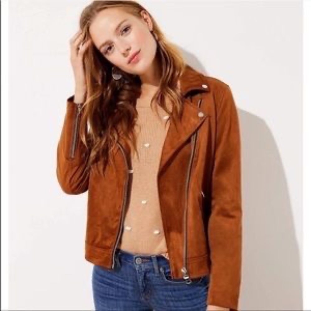 LOFT Faux Suede Moto Jacket in Brown Size Petite Medium NEW - Picture 3 of 4